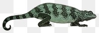 PNG Chameleon reptile animal lizard. AI generated Image by rawpixel.