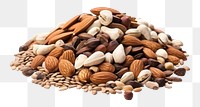 PNG Seed food nut white background. AI generated Image by rawpixel.