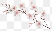 PNG Blossom flower plant white. AI generated Image by rawpixel.