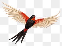 PNG Flying bird animal beak. AI generated Image by rawpixel.