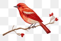 PNG Bird animal creativity wildlife. AI generated Image by rawpixel.