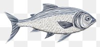 PNG Fish seafood animal wildlife AI generated Image by rawpixel