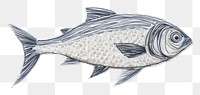 PNG fish embroidery art textile