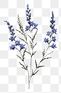 PNG Embroidery flower lavender blossom AI generated Image by rawpixel