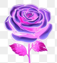 PNG  Neon rose flower purple plant. AI generated Image by rawpixel.