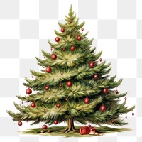 PNG Decorated christmas tree plant pine white background. AI generated Image by rawpixel.