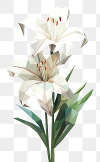 PNG Lily flower plant white inflorescence. AI generated Image by rawpixel.