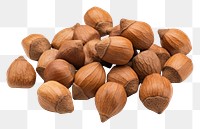 PNG  Dried acorns with leaves plant food nut. AI generated Image by rawpixel.