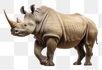PNG Wildlife animal mammal rhinoceros. AI generated Image by rawpixel.