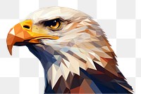 PNG Eagle animal bird beak. AI generated Image by rawpixel.