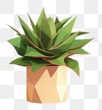 PNG Potted plants bromeliaceae houseplant terracotta. 