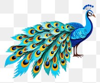 PNG Peacock animal bird white background. AI generated Image by rawpixel.