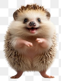 PNG Happy smiling dancing hedgehog mammal animal erinaceidae. 