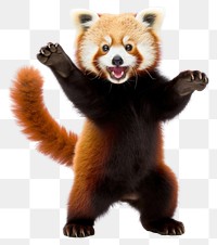 PNG Happy smiling dancing red panda wildlife mammal animal. AI generated Image by rawpixel.