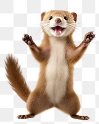PNG Happy smiling dancing weasel wildlife mammal animal. AI generated Image by rawpixel.