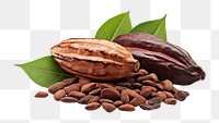 PNG  Cocoa beans cocoa food white background. AI generated Image by rawpixel.