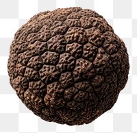 PNG  A truffle food white background simplicity. AI generated Image by rawpixel.