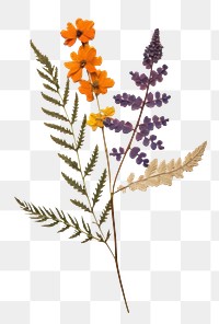 PNG Flower painting plant paper. AI generated Image by rawpixel.