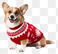 PNG Sweater christmas mammal animal. AI generated Image by rawpixel.