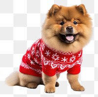 PNG Christmas mammal animal cute. AI generated Image by rawpixel.