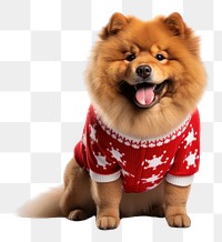 PNG Mammal animal cute chow. AI generated Image by rawpixel.
