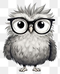 PNG  Owl wearing glasses animal drawing sketch. AI generated Image by rawpixel.