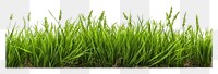 PNG  Green grass field outdoors nature plant. AI generated Image by rawpixel.