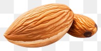 PNG  Almond plant food nut. AI generated Image by rawpixel.