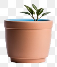 PNG  Plant pot pottery vase leaf. AI generated Image by rawpixel.
