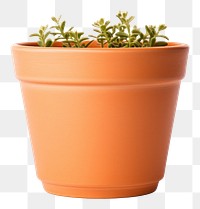 PNG  Plant pot white background houseplant terracotta. AI generated Image by rawpixel.