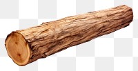PNG  Wood png plant tree log