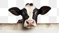 PNG Holstein Friesian Cow cow livestock mammal. AI generated Image by rawpixel.