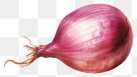 PNG Onion ingredient vintage vegetable. AI generated Image by rawpixel.