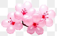 PNG Sakura blossom balloon flower. AI generated Image by rawpixel.