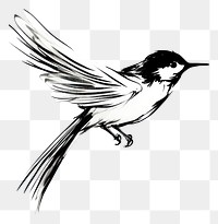 PNG Bird drawing animal sketch. AI generated Image by rawpixel.