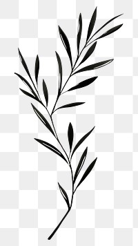 PNG Olive herb plant herbs pattern. AI generated Image by rawpixel.
