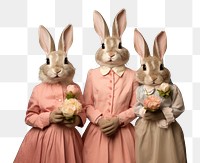 PNG Rabbit family portrait. AI generated Image by rawpixel.