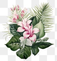 PNG  Tropical leaves flower plant leaf. AI generated Image by rawpixel.