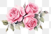 Flower plant rose inflorescence. AI generated Image by rawpixel.