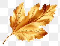 PNG Autumn leaves plant leaf. AI generated Image by rawpixel.