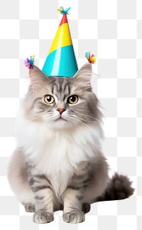 PNG Cat celebrating birthday mammal animal. AI generated Image by rawpixel.