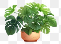 PNG  Monstera plant leaf white background. AI generated Image by rawpixel.