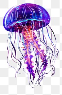 PNG Jellyfish invertebrate illuminated transparent