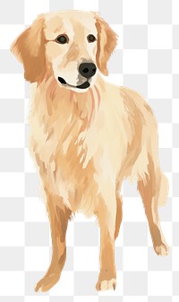 PNG Golden retriever dog mammal animal pet. AI generated Image by rawpixel.