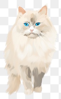 PNG Ragdoll Cat mammal animal white. AI generated Image by rawpixel.