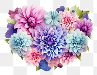 PNG Valentine flower dahlia plant white background. AI generated Image by rawpixel.