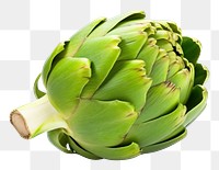 PNG Greeen artichoke vegetable plant food. 