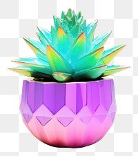 PNG  Cactus pot plant vase white background. AI generated Image by rawpixel.