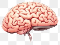 PNG Brain drawing white background outdoors. AI generated Image by rawpixel.