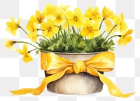 PNG Daffodil ribbon flower plant. AI generated Image by rawpixel.